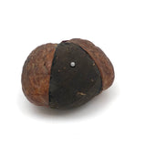 Charming Antique Walnut Pin Cushion