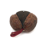 Charming Antique Walnut Pin Cushion