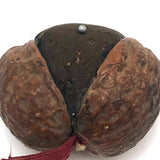 Charming Antique Walnut Pin Cushion