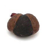 Charming Antique Walnut Pin Cushion