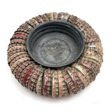 Satisfying Old Bottle Cap Ashtray with Bell Jar Lid Center