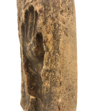 Old, Much Patinated Plaster Hand Mold