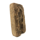 Old, Much Patinated Plaster Hand Mold