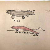 Emil Gottlieb's 1940s School Notebook with Excellent Drawings