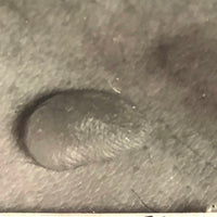 Curious Old Glass Plate Slide: Tiny Bean + Bite + Measure Taped to Skin