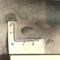 Curious Old Glass Plate Slide: Tiny Bean + Bite + Measure Taped to Skin