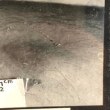 Curious Old Glass Plate Slide: Tiny Bean + Bite + Measure Taped to Skin