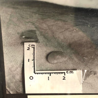 Curious Old Glass Plate Slide: Tiny Bean + Bite + Measure Taped to Skin
