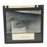 Curious Old Glass Plate Slide: Tiny Bean + Bite + Measure Taped to Skin
