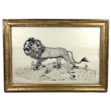 Fierce Looking Lion! Large Late 19th Century Ink Drawing in Period Frame
