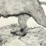 Fierce Looking Lion! Large Late 19th Century Ink Drawing in Period Frame