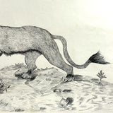 Fierce Looking Lion! Large Late 19th Century Ink Drawing in Period Frame