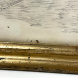 Fierce Looking Lion! Large Late 19th Century Ink Drawing in Period Frame