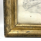 Fierce Looking Lion! Large Late 19th Century Ink Drawing in Period Frame