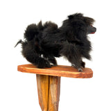 Wild Antique Mechanical Action Real Fur Dog Toy on Bellows