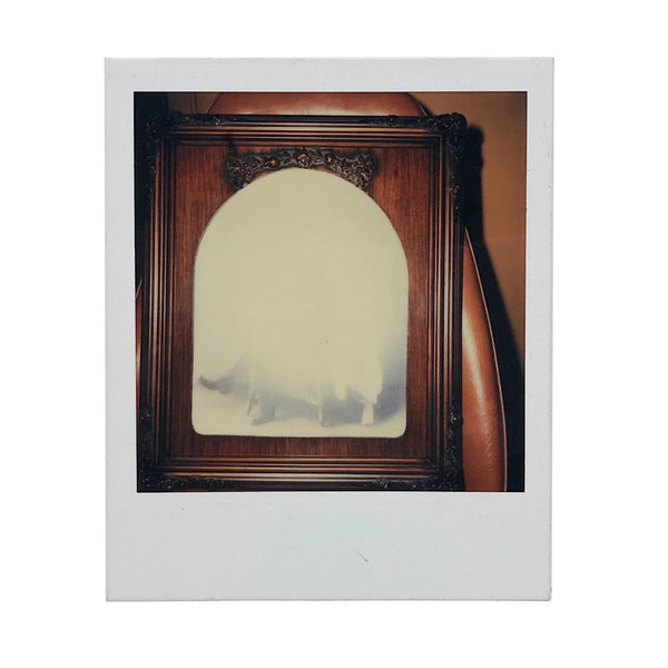 Photo of Photo in Frame on Chair Polaroid
