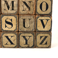 Slightly Mixed Set of c. 1870s Hill's Alphabet and Animal Blocks (15)