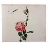Self-reflexive 19th Century Watercolor Rose with Torn and Taped Stem