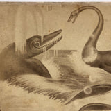 Fantastic 19th C. Homemade Stereoview of Sea Creatures, Related to Louis Figuier Engraving