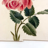 Self-reflexive 19th Century Watercolor Rose with Torn and Taped Stem