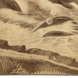 Fantastic 19th C. Homemade Stereoview of Sea Creatures, Related to Louis Figuier Engraving
