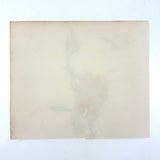 Self-reflexive 19th Century Watercolor Rose with Torn and Taped Stem