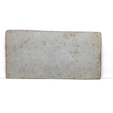 Fantastic 19th C. Homemade Stereoview of Sea Creatures, Related to Louis Figuier Engraving