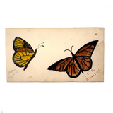 Mattie and Ollie's Watercolor Butterflies, 1881