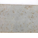 Fantastic 19th C. Homemade Stereoview of Sea Creatures, Related to Louis Figuier Engraving