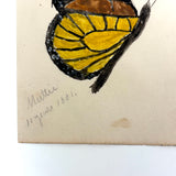 Mattie and Ollie's Watercolor Butterflies, 1881
