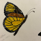 Mattie and Ollie's Watercolor Butterflies, 1881
