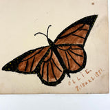 Mattie and Ollie's Watercolor Butterflies, 1881