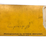 Stunning Early (1860s) Albumen Photo Stereoview: Owls and Hawk