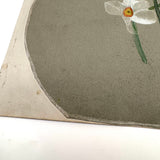 Daffodils, Watercolor on Cut Paper, c. 1940