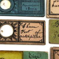 Set of 8 French c. 1900 Microscope Slides with Insect Specimens