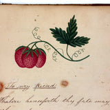 Mary Ann Perham's Beautiful 1826+ Friendship Album, Chelmsford, MA