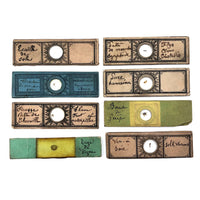 Set of 8 French c. 1900 Microscope Slides with Insect Specimens