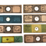 Set of 8 French c. 1900 Microscope Slides with Insect Specimens