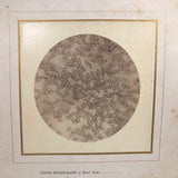 Stunning Early Microphoto (c. 1870s) of Blood Disks, Pepperell, MA