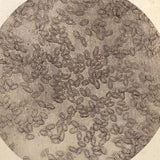 Stunning Early Microphoto (c. 1870s) of Blood Disks, Pepperell, MA