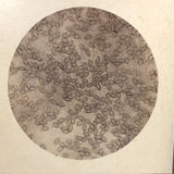 Stunning Early Microphoto (c. 1870s) of Blood Disks, Pepperell, MA