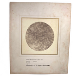 Stunning Early Microphoto (c. 1870s) of Blood Disks, Pepperell, MA