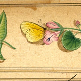 Fascinating Hybrid: Indo-Persian Mughal Manuscript Painting after Les Très Riches Heures du duc de Berry