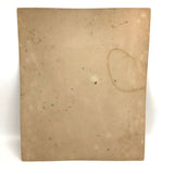 Stunning Early Microphoto (c. 1870s) of Blood Disks, Pepperell, MA