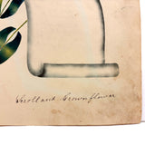 Scroll and Crown Flower; Roses and Poem: Double-sided 1848 Theorem Watercolor