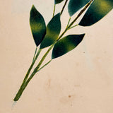 Scroll and Crown Flower; Roses and Poem: Double-sided 1848 Theorem Watercolor