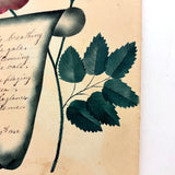 Scroll and Crown Flower; Roses and Poem: Double-sided 1848 Theorem Watercolor