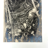 Cozy (and Nearly Camouflaged) Bird in Nest, Old Real Photo Postcard