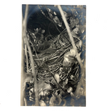 Cozy (and Nearly Camouflaged) Bird in Nest, Old Real Photo Postcard