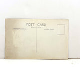 Cozy (and Nearly Camouflaged) Bird in Nest, Old Real Photo Postcard